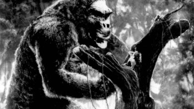 EN FOTOS. ¡Sin ellos, no habría “Película de Miedo”! Las 12 reinas del grito de culto que hicieron gritar el cine de terror EN FOTOS. ¡Sin ellos, no habría “Película de Miedo”! Las 12 reinas del grito de culto que hicieron gritar el cine de terror